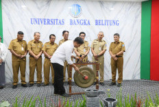Luncurkan 5 Program Studi Baru, UBB Resmi Miliki Jurusan Pendidikan Keguruan 