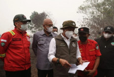 Menhut Minta Pendinginan Karhutla Kalbar Dimasifkan