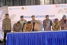 Kementerian UMKM: Serapan KUR di Babel Rp1,58 triliun