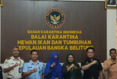 BKHIT Bangka Belitung Perketat Pengawasan Cegah Virus Nipah India