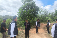 Dugaan Tambang Timah Ilegal di Air Mawar, Polresta Cek Lapangan: Tidak Ditemukan
