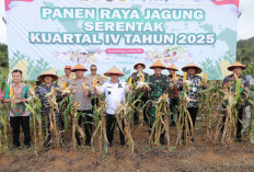 Bukti Nyata Dukung Swasembada Pangan : Gubernur Hidayat Arsani Hadiri Panen Raya Jagung Serentak 