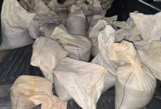 Kualitas Jadi Pembeda, Ini Alasan Kompensasi Bijih Timah di Penambang