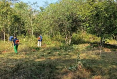 Pemkot Pangkalpinang Bersihkan Kebun Raya Tua Tunu Guna Cegah Karhutla