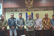 Kawal Realisasi Plasma 20% PT GML, Bupati Fery Insani Bersama Apkasindo Temui Kementerian Pertanian