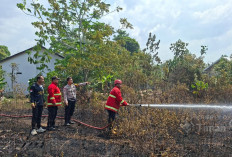 Perkuat Penanganan Karhutla, Emergency Response Team PT TIMAH Sudah 97 Kali Turun Padamkan Api