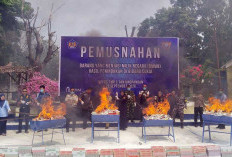 Bea Cukai Tanjungpandan Musnahkan 140 Ribu Rokok Ilegal, Kerugian Negara Rp106 Juta