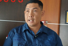 Kasus Hutan Nadi & Sarang Ikan, Kejati Babel Klaim Sudah Kantongi Barang Bukti dari Hasil Penggeledahan