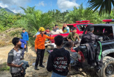 Tersesat di Bukit Maras Sejak Pagi, Empat Remaja Sungailiat Berhasil Dievakuasi Jelang Subuh