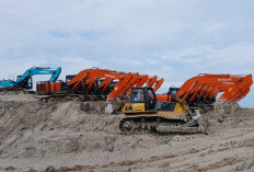 Siapa Cukong Belasan Alat Berat yang Diamankan Satgas PKH di Kawasan Hutan Nadi & Sarang Ikan?