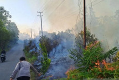 Kapolres Bangka Barat Ajak Warga Waspadai Karhutla