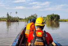 Pencari Ikan Diterkam Buaya di Sungai Limbung