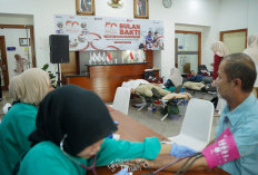 Dari Jakarta hingga Kundur, Donor Darah Bulan Bakti PT Timah Kumpulkan 576 Kantong