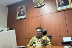 Harga Ayam di Babel Tembus Rp49 Ribu, BI Minta TPID Bergerak Cepat