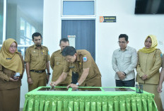 Resmikan Puskesmas Belinyu, Bupati Fery Komitmen Tingkatkan Pelayanan Kesehatan Dasar   