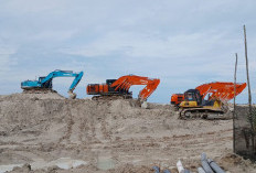 315 Hektar Kawasan Hutan Lubuk Dirambah, Kerugian 12,9 Triliun