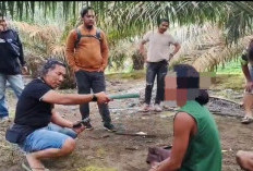 Sat Resnarkoba Polres Bangka Gagalkan Peredaran Ganja Hampir Setengah Kilogram, Satu Pelaku Diringkus