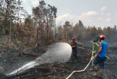 Belitung Catat 582 Kejadian Bencana 2026, Karhutla Jadi Kasus Terbanyak