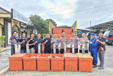 Penyelundupan di Babar Terbongkar! Manifes Udang Ternyata Balok Timah Rp 5 Miliar