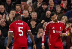 Gawat! Menjamu Wolves Liverpool Tanpa 7 Pemain Ini