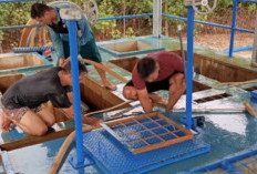 PDAM Bangka Barat Tingkatkan Kualitas Air Menjadi Layak minum