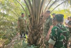 60 Ribu Hektare Lahan Gambut Bangka Selatan Jadi Perhatian Satgas Karhutla