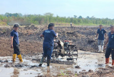 Warga Binaan Lapas Pangkalpinang Berkarya Lewat Cetak Sawah di Kelurahan Binaan