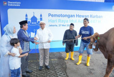 Semangat Berbagi Idul Adha, BRI Group Distribusikan lebih dari 5000 Hewan Kurban di Berbagai Daerah