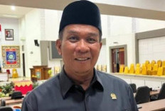Pahlivi DPRD Babel Desak Eks Lahan PT Timah Direklamasi Jadi Kebun Sawit
