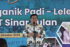 Inflasi Babel pada Oktober 2025 Terjaga Stabil