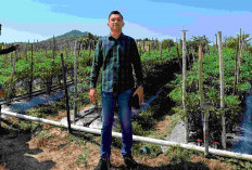 Mengendalikan Inflasi dari Meja Makan