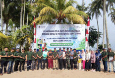 PT Timah Tanam Pohon dan Bersihkan Pantai Asmara Dewi di Kabupaten Karimun