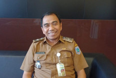 Harga Timah Naik, Pajak Kendaraan di Babel Lampaui Target