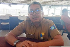 Babel Alokasikan 8.347.025 Kilogram Pupuk Bersubsidi