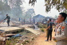 5 Rumah Warga Cupat Diduga Dibakar, Polisi Lakukan Penyelidikan