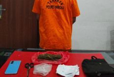 Polres Bangka Tangkap Pengedar Ganja di Mendo Barat, 37 Gram Ganja Disita