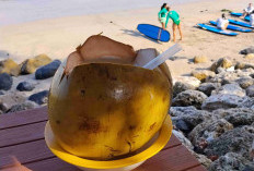 Tak Hanya Pelepas Dahaga, Ini 6 Manfaat Mengonsumsi Air Kelapa Setiap Hari bagi Kesehatan
