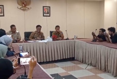 Ngantor Lagi Usai Bebas, Kini Hellyana Diberhentikan Sementara dari Jabatan Wagub