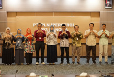 PLN Babel dan BPS Perkuat Akurasi Data Pelanggan Lewat Ground Check Lapangan