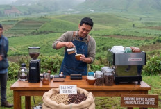 DJKI Ajak Masyarakat Jelajahi 14 Kopi Indikasi Geografis Indonesia di Dieng Culture Festival 2026