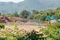 Ada 3 Excavator Rambah Kawasan Kolong Jalur Dua Pemda Basel, Tambang Atau...? 