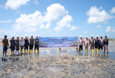 PT Timah dan Masyarakat Bergerak Jaga Alam Lewat Penanaman Mangrove di Pantai Mudong