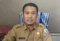 Tahun Ini Empat Kecamatan di Basel Bakal Mendapatkan Program Optimalisasi Lahan, Segini Luasnya