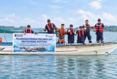 PT Timah Tebar 1.000 Kepiting Bakau di Kundur, Nelayan Harap Populasi Makin Banyak
