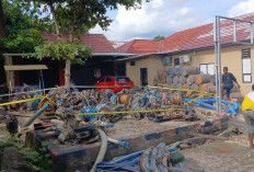 Lima PIP Ilegal Diamankan Unit Tipidsus Polres Basel di Hutan Lindung Kolong PAM Gunung Namak 