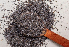 Kecil-kecil Biji Chia Kaya Manfaat