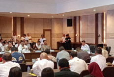 ​Curhat Gubernur Babel ke Komisi II DPR RI: Dari Efisiensi Anggaran Hingga Reforma Agraria