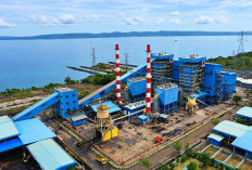 PLN UPK Timor dan PLN EPI Perkuat Kolaborasi Jaga Ketersediaan Energi Primer PLTU Bolok