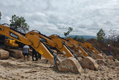 Tim Satgas PKH Amankan Lagi 9 Excavator di Hutan Lubuk, Ty Diduga Sang Pemilik