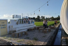 Bukti Nyata CSR Bank Sumsel Babel di Sawah Namang, Dorong Pertumbuhan UMKM dan Sektor Wisata